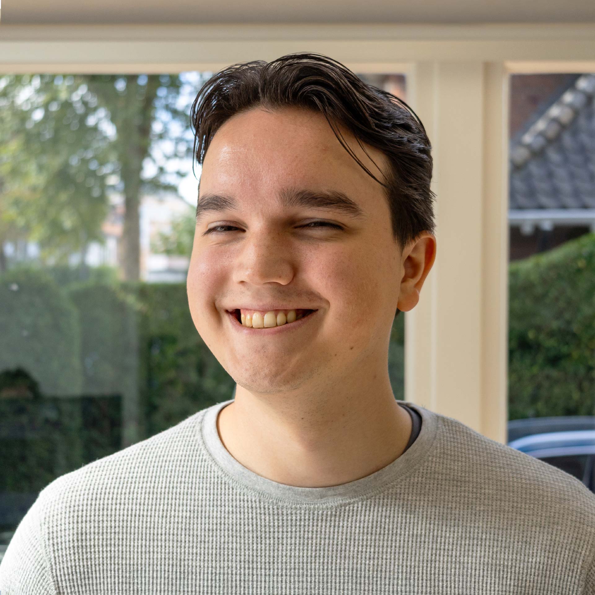 Coen den Heijer, Developer IMAGEM